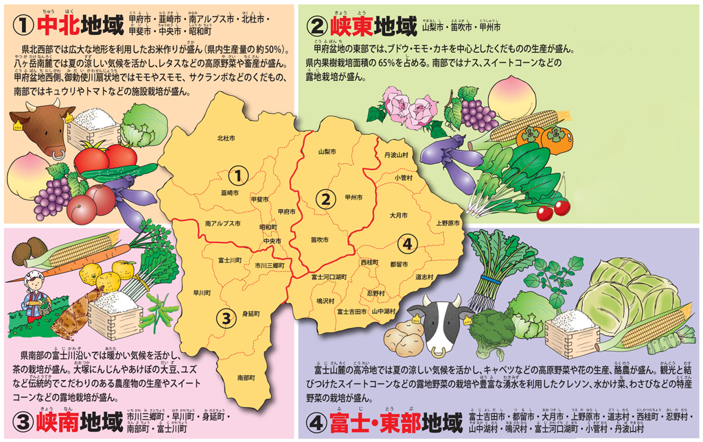 山梨県農業のすがた Ja山梨中央会