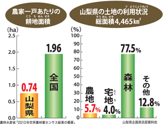 山梨県農地耕地面積グラフ